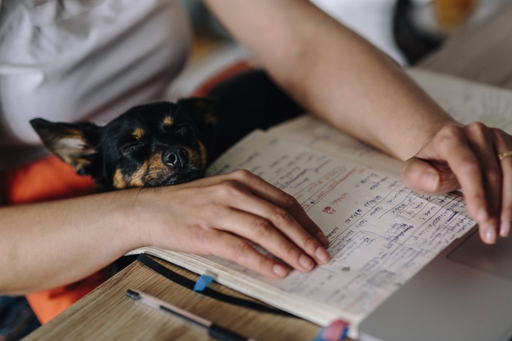 Aprenda a Aprender e Aprenda Mais Rápido